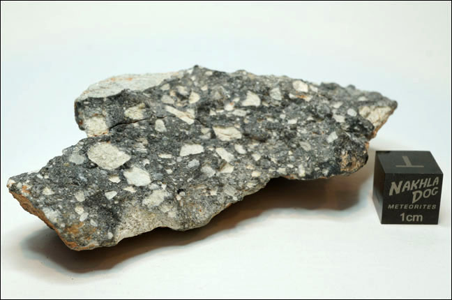 Nakhla Dog Meteorites, Meteorites for Sale, Meteorite
